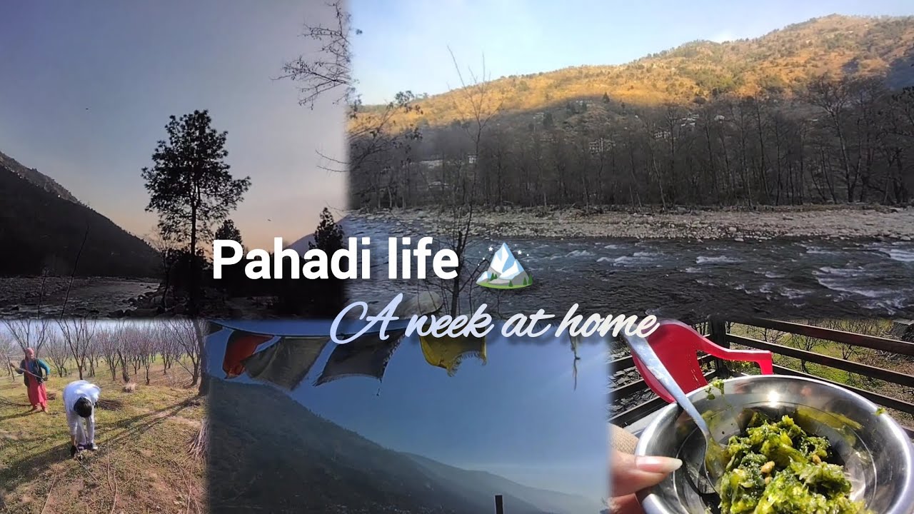 This is How I Spent My Holidays in My Village |A Week at Home 🏡|Village Life, River &Homemade Snacks