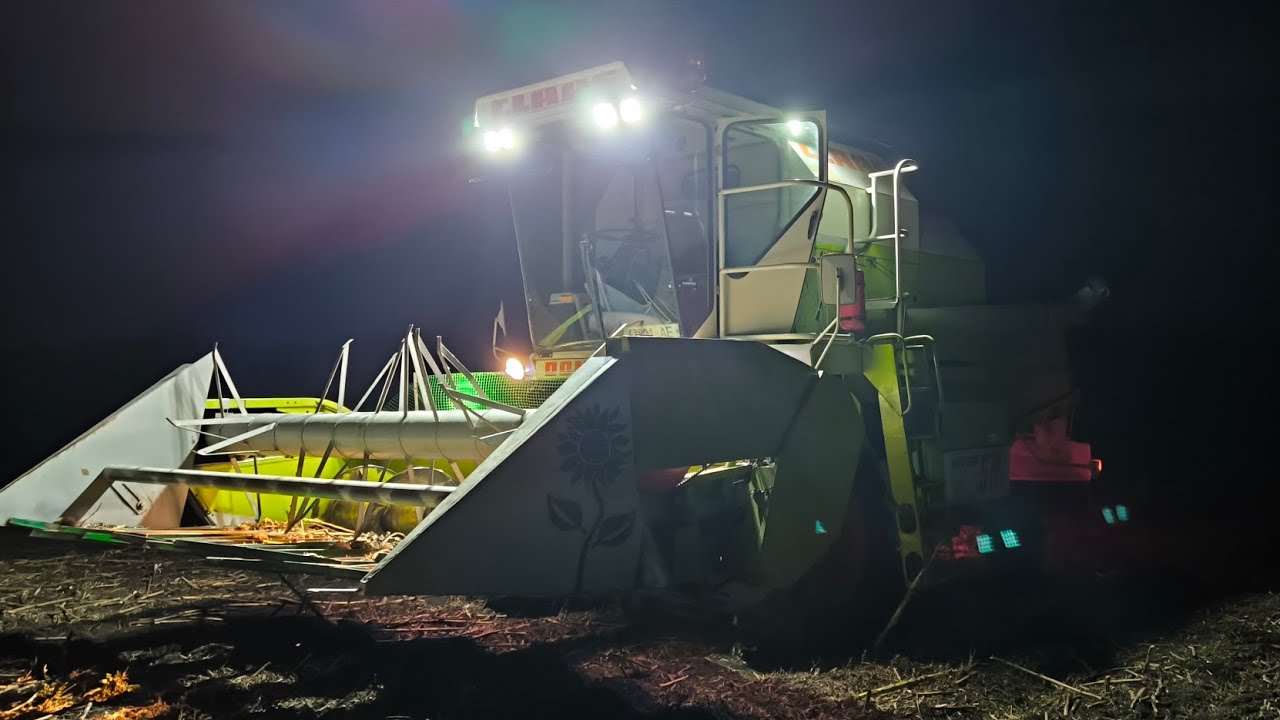 Працюємо вдень і вночі. Збирання соняшнику Claas dominator 58s 