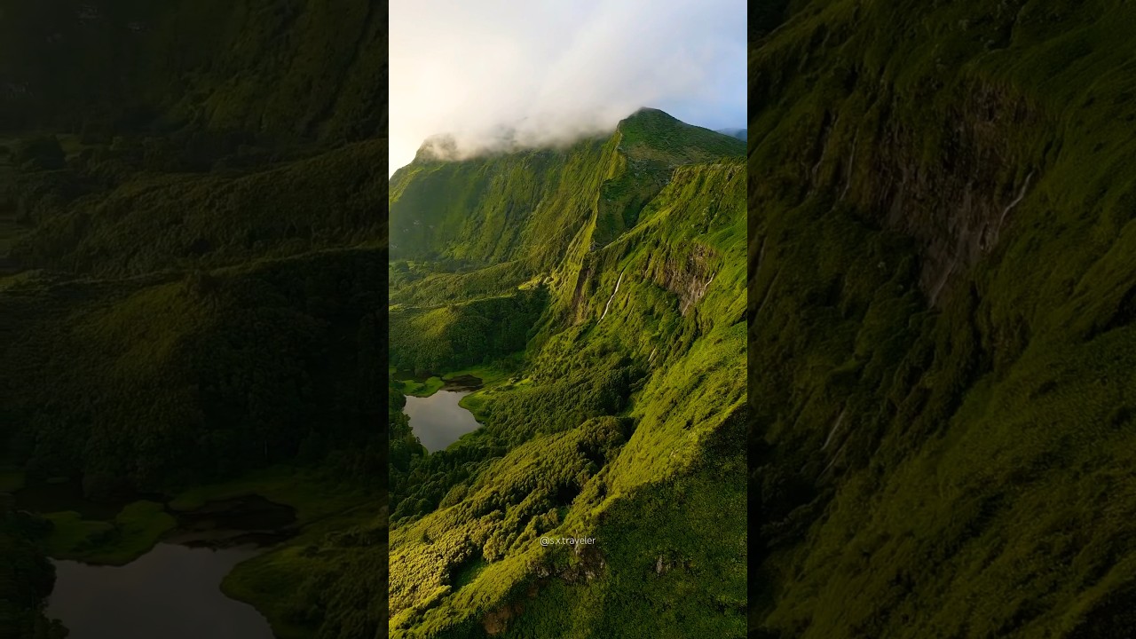 Isn&rsquo;t this the real-life Jurassic Park? 🌿🦖 #azores #portugal #flores