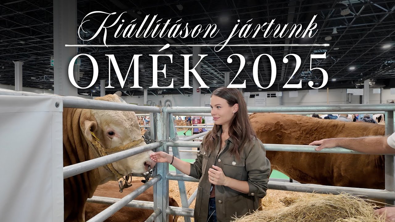 Találkoztam Böde Danival! 🐂 | Molnár Miléna