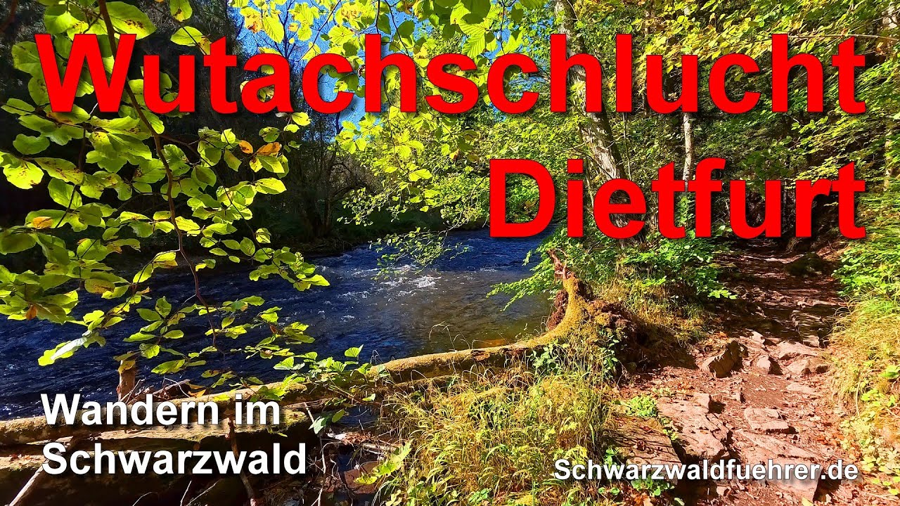 Wandern in der Wutachschlucht - Dietfurt