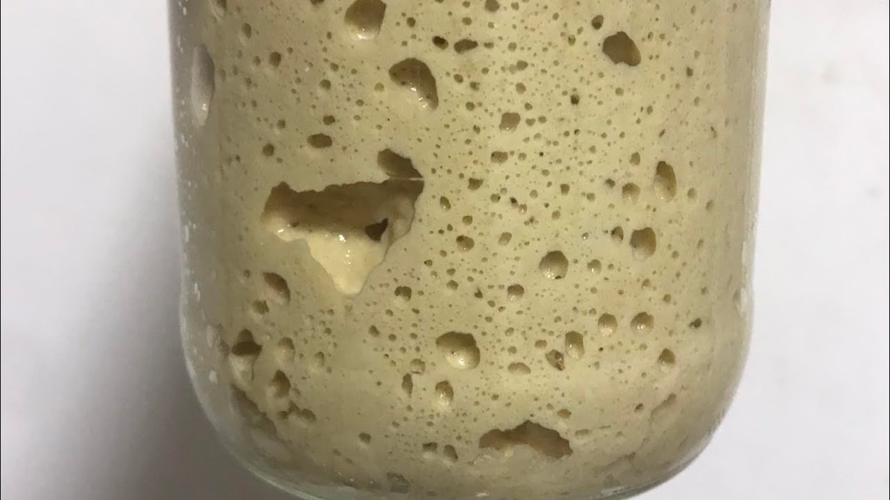 Sourdough Day 2