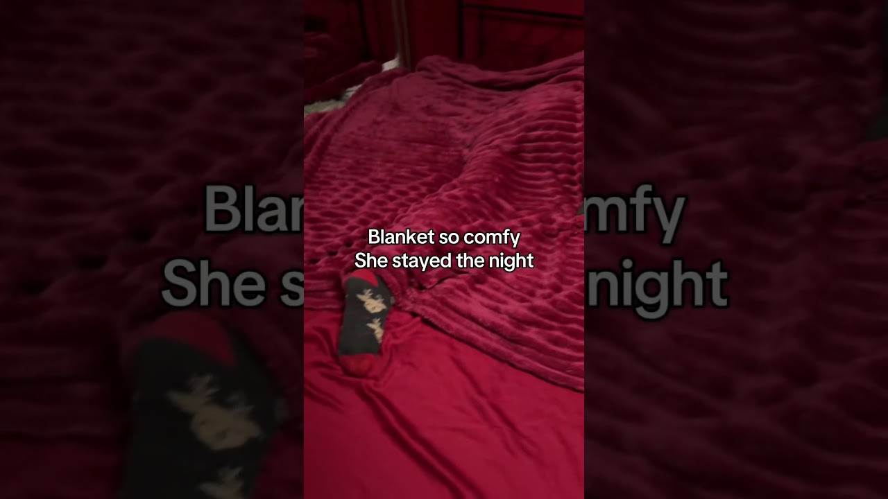 Cozy Christmas Gift: Soft Blanket #blanket #christmas