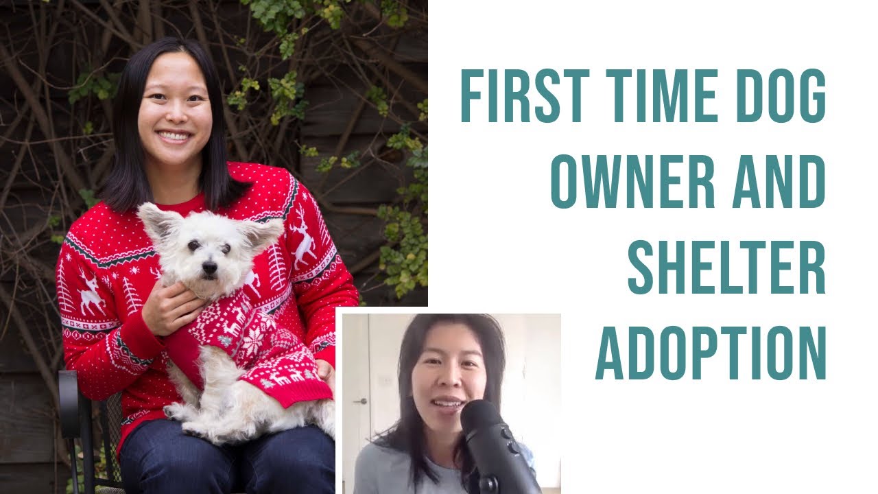 What you need to know before adopting a shelter dog: first time pet owner tips