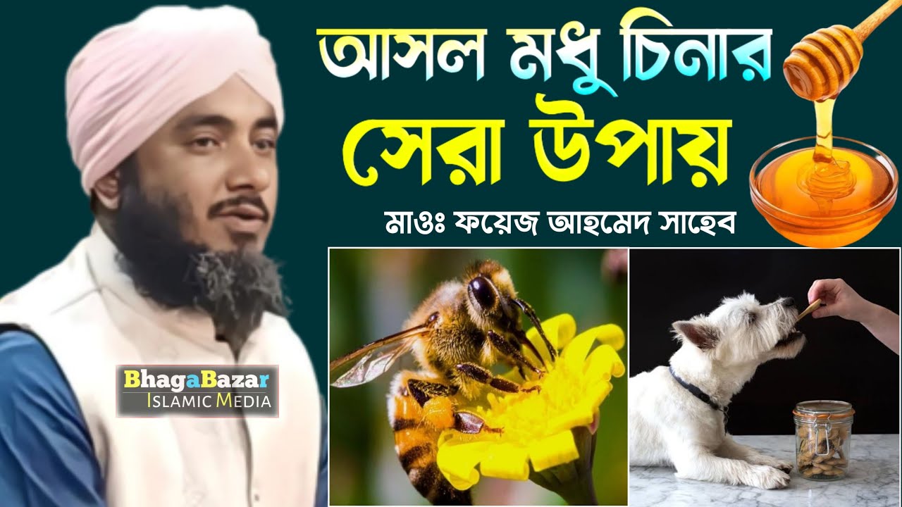 আসল মধু চেনার  সেরা উপায়  ||Maulana foyez Ahmed Waz || bangla Waz
