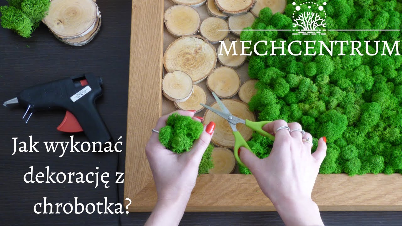 Jak zrobić dekorację z mchu chrobotka? | Mech Centrum