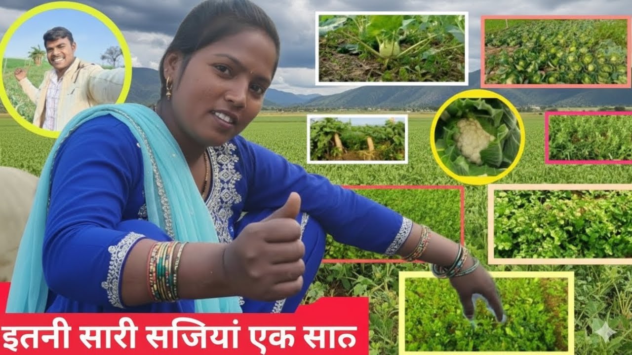 || Itni sari sabjiyan ek sath || Apne gaon ke kheton mein 