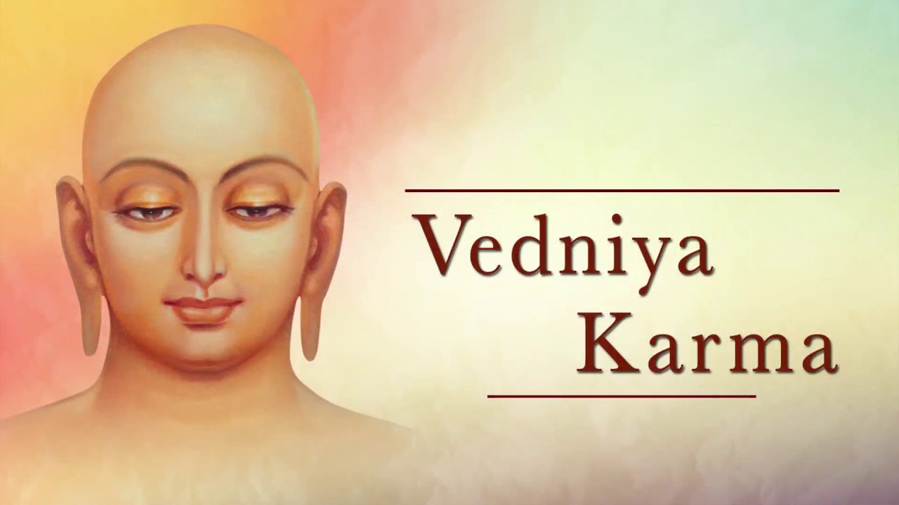 Day 22 | Eliminating Pain, or the Cause of Pain? Vedaniya Karma | Param Gurudev Namramuni MS