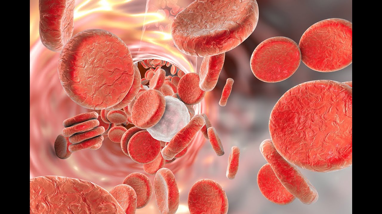 Blood Gas Interpretations