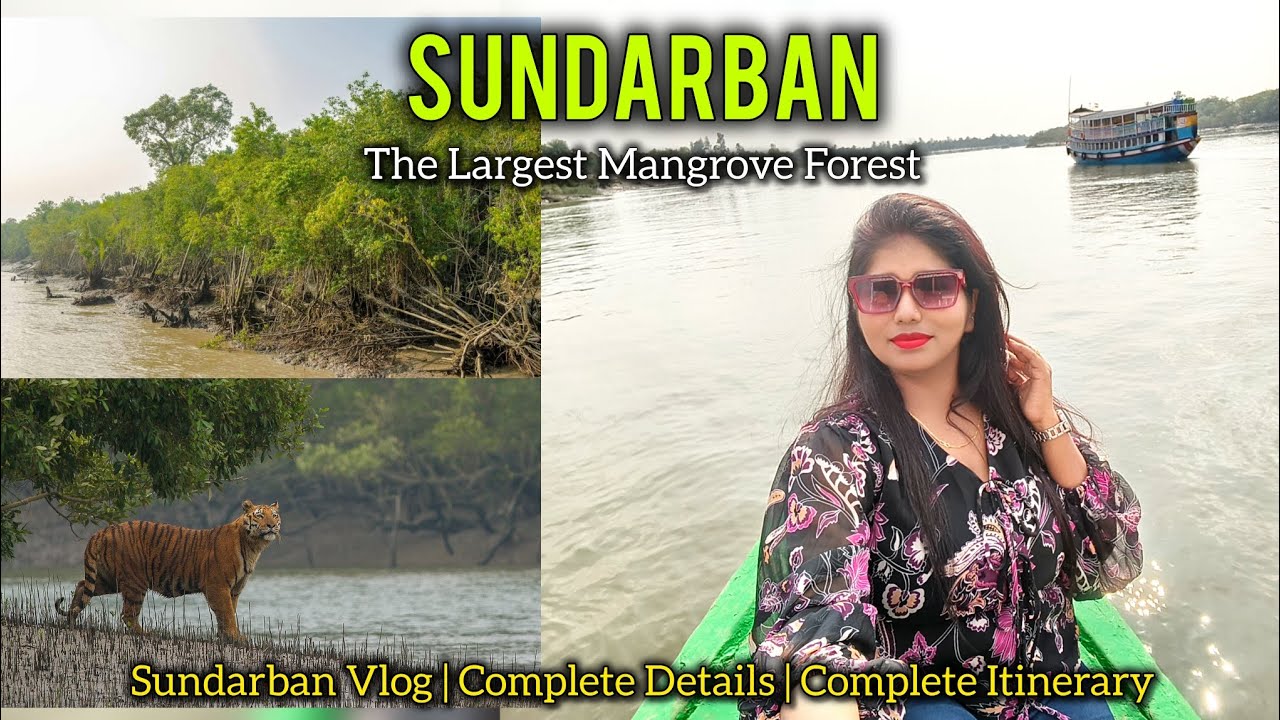Sundarban Tour | Winter Tour In Sundarban | 2 Nights 3 Days Tour | Kolkata to Sundarban Vlog Part-1
