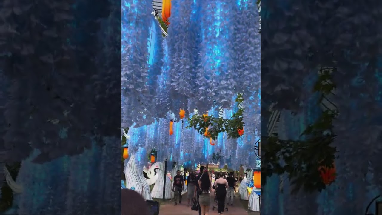 🌸🏮 Chinese lantern festival @ Franklin Square 