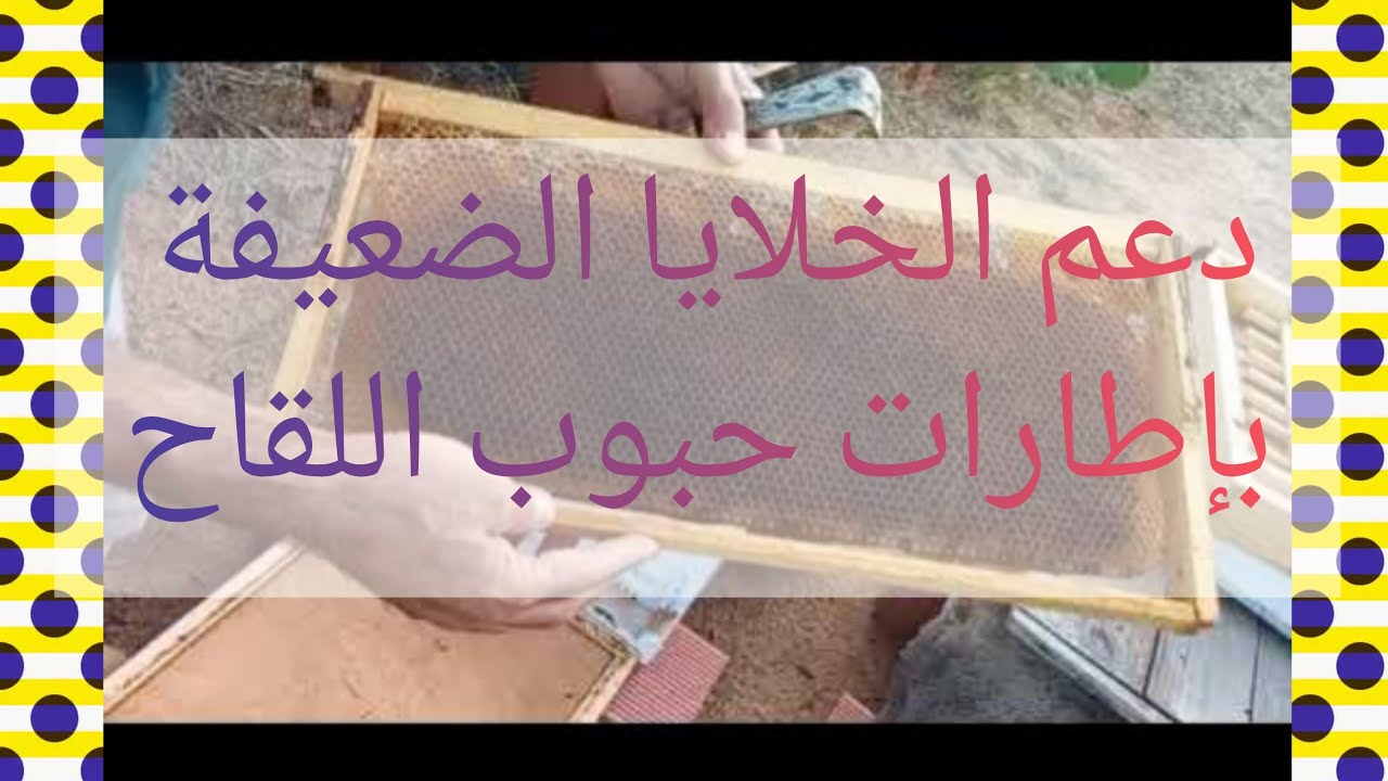 دعم الخلايا الضعيفة بإطارات حبوب لقاح