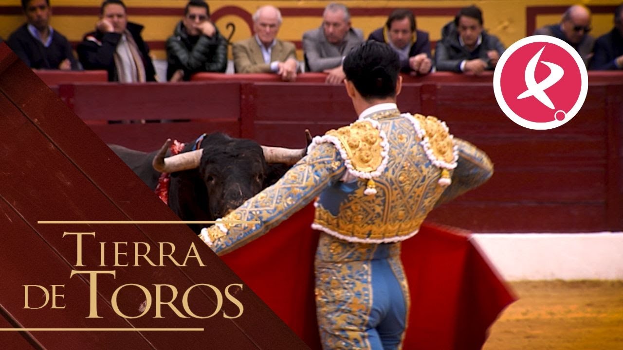 La temporada comienza a moverse | Tierra de Toros