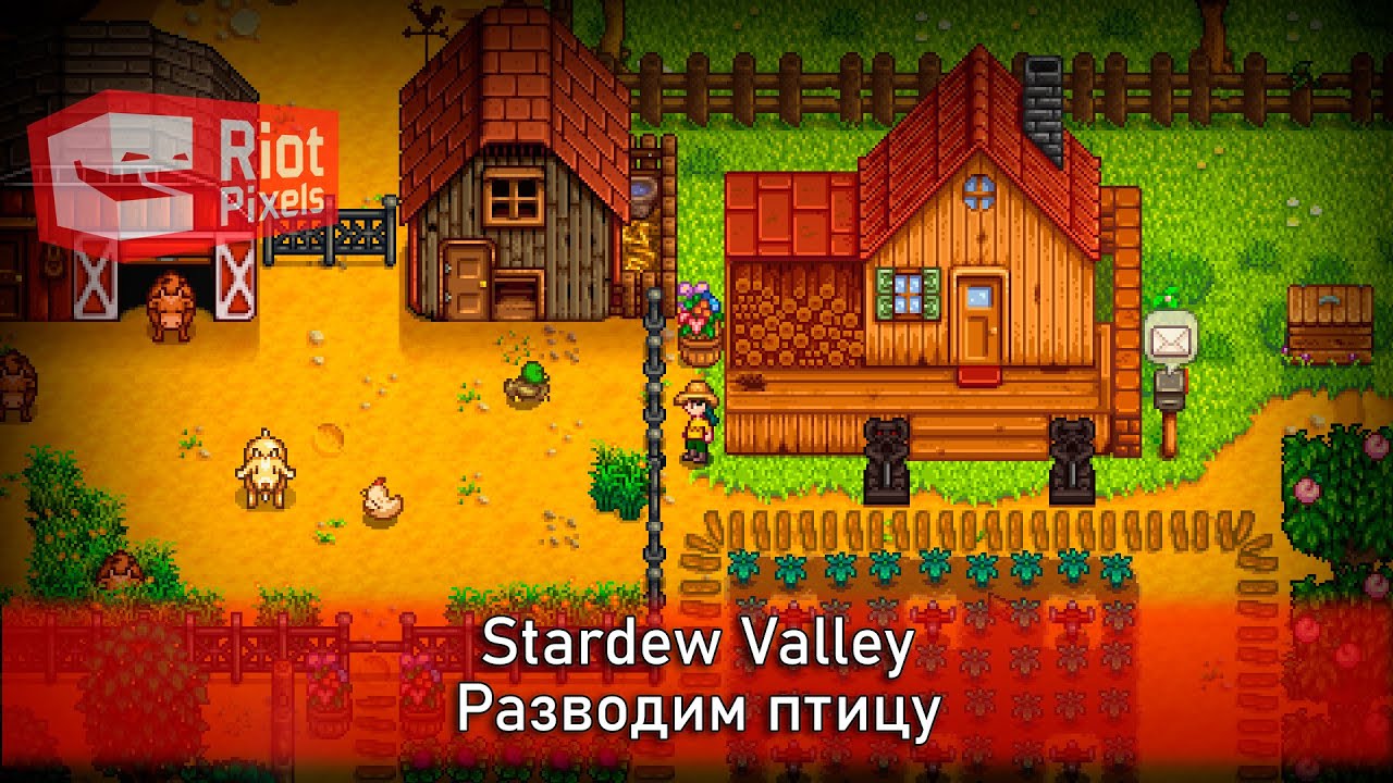 Stardew Valley. Пора разводить птиц