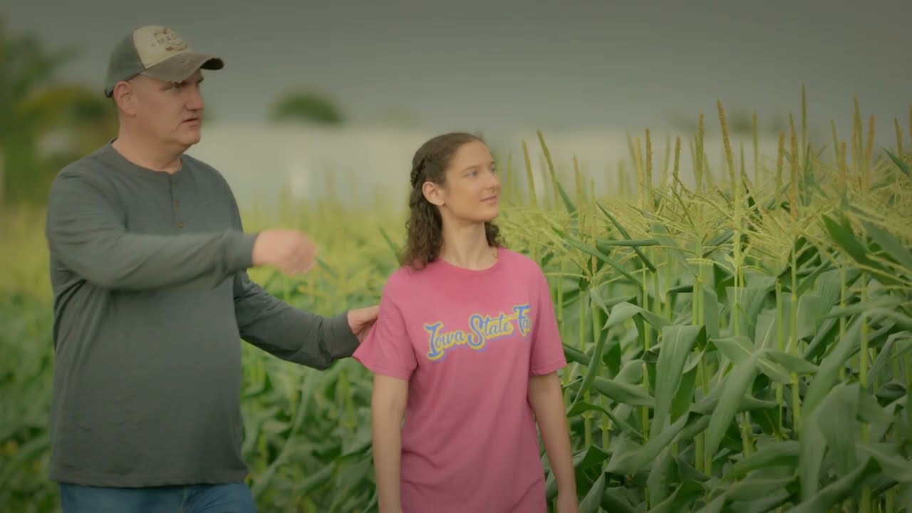 Monster Taxi - Field of Dreams