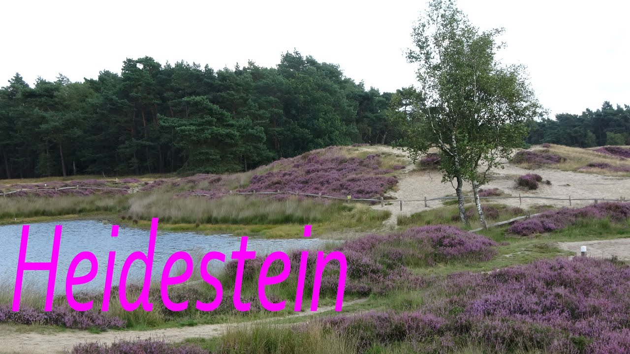 Heidestein (Driebergen)