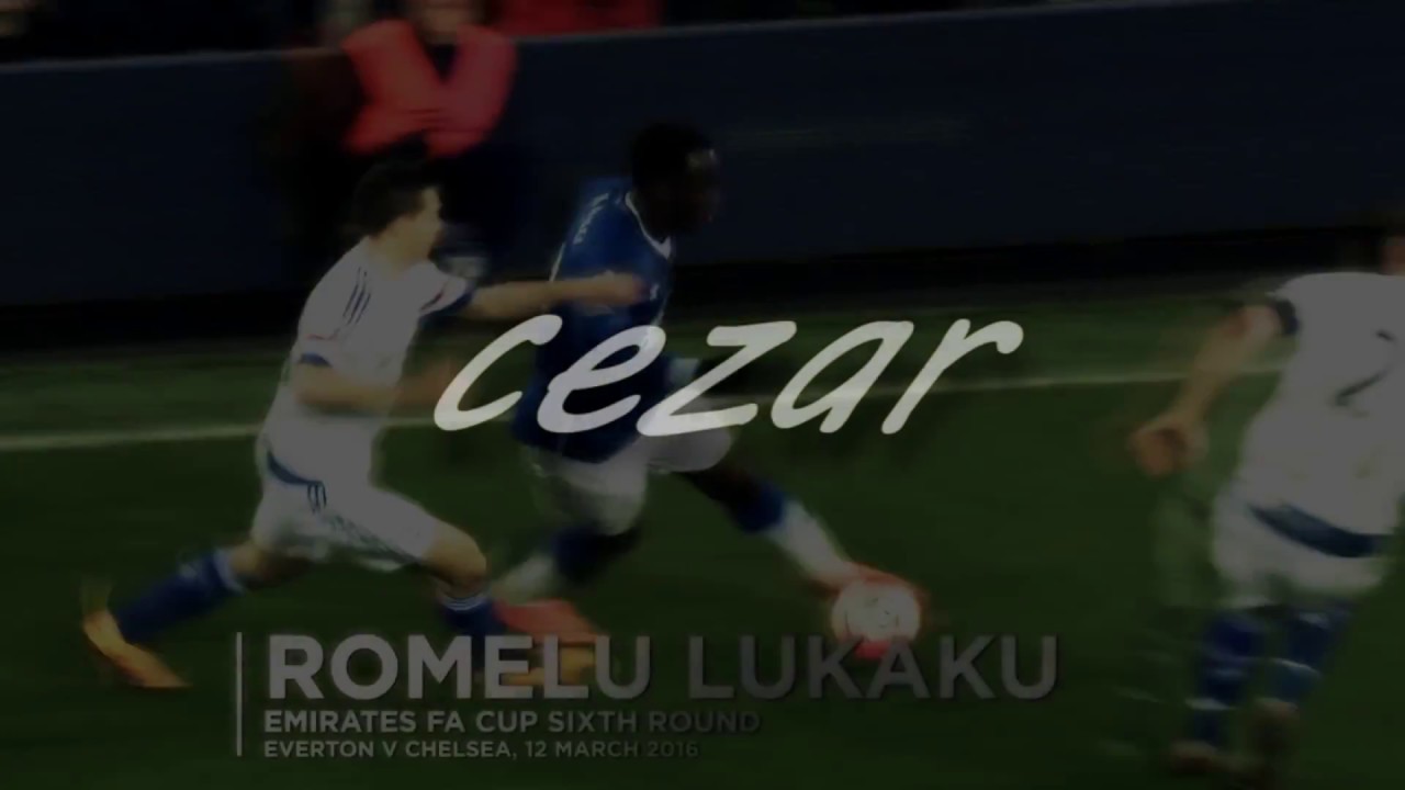 Бельгийский зверь/vine2#