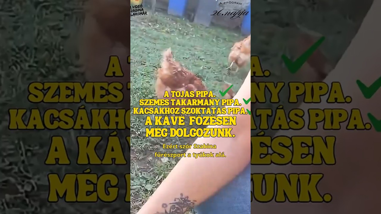A tojás PIPA, szemestakarmány PIPA, a kávéfőzésen még dolgozunk :) !