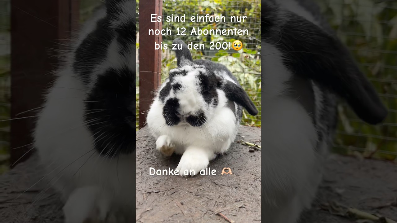 Ich freue mich so sehr!🥳                    