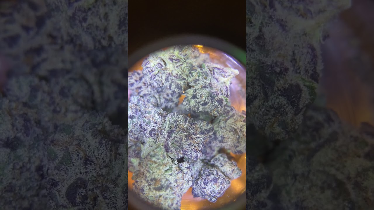 🌿 Cannabis Culture Thailand | Bangkok Sativa High Strain Experience