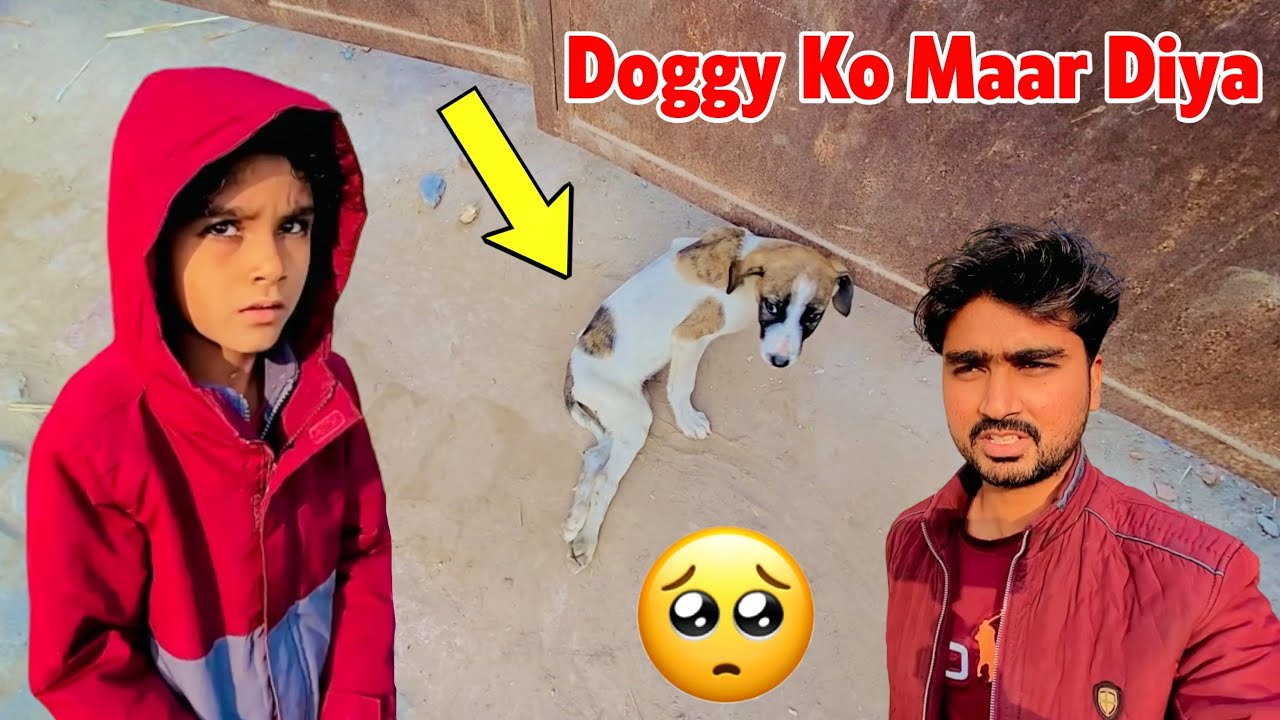 Doggy Ko Maar Diya Kisi Ne 🥺😭