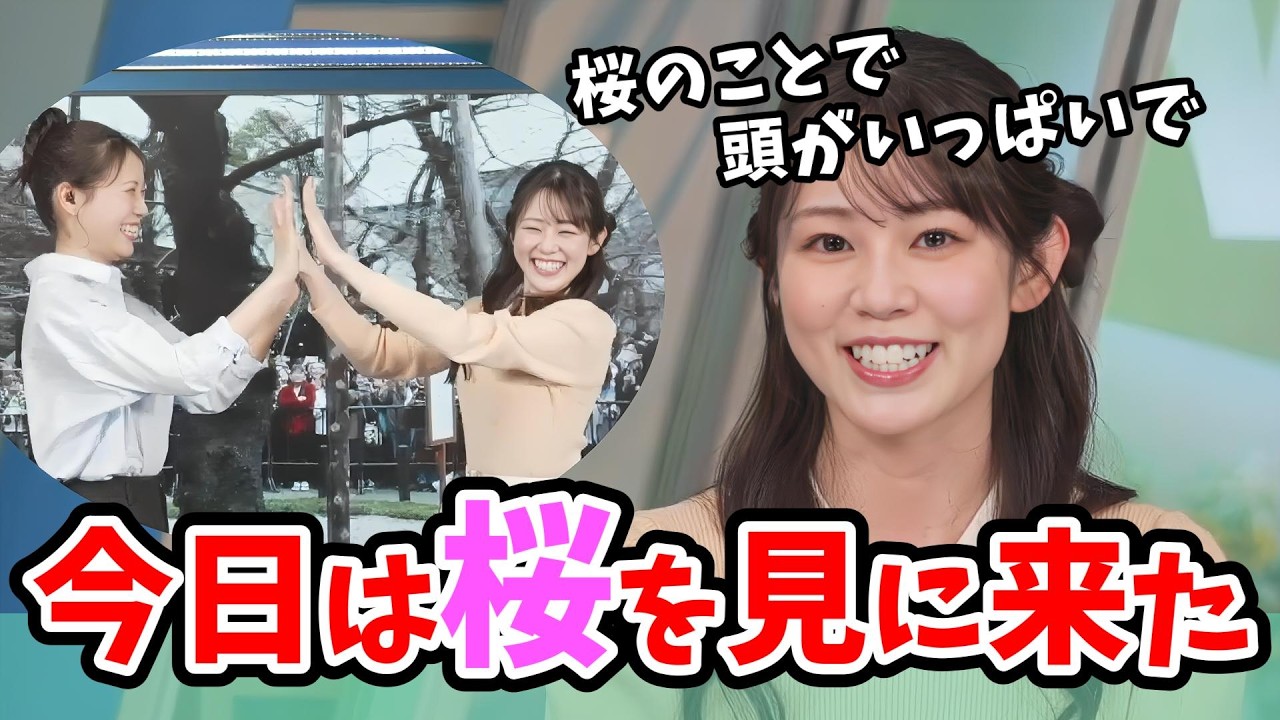 【青原桃香・戸北美月】東京桜開花宣言！桜のことで1日中うっきうきの桃ちゃんのコーヒータイム【ウェザーニュース切り抜き】