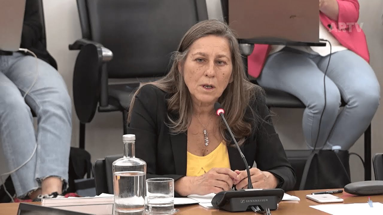 2023 05 17 - Audição de Eugénia Correia
