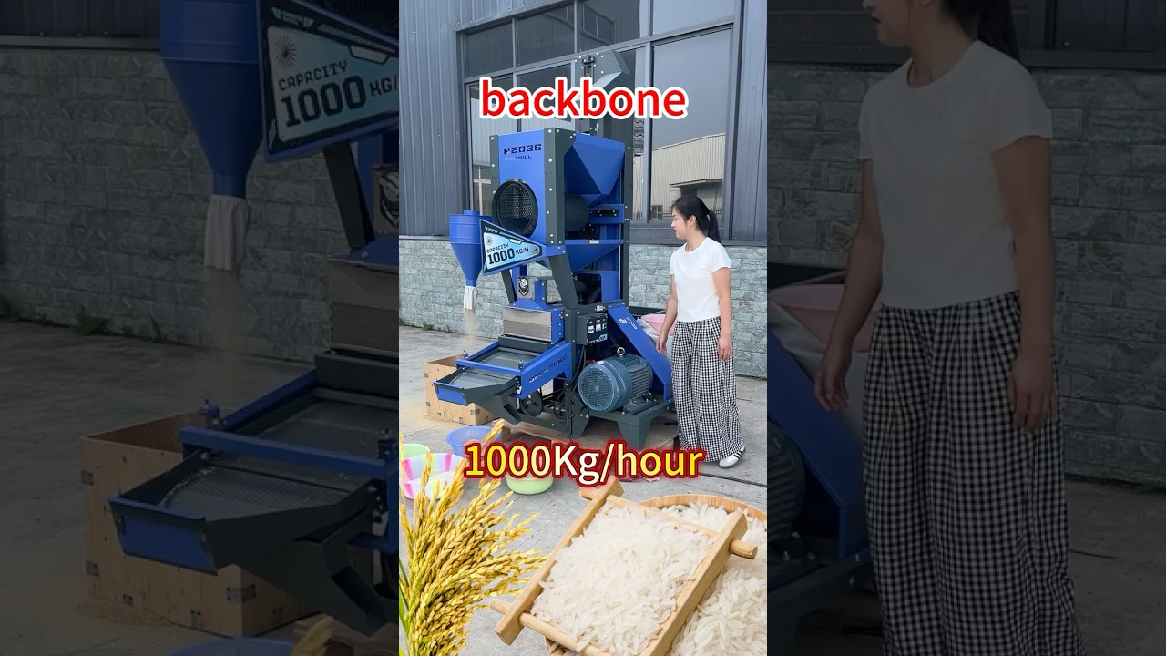New design BB-N2026 commercial rice mill machine with 11kW motor #ricemill #newdesign #ricehuller