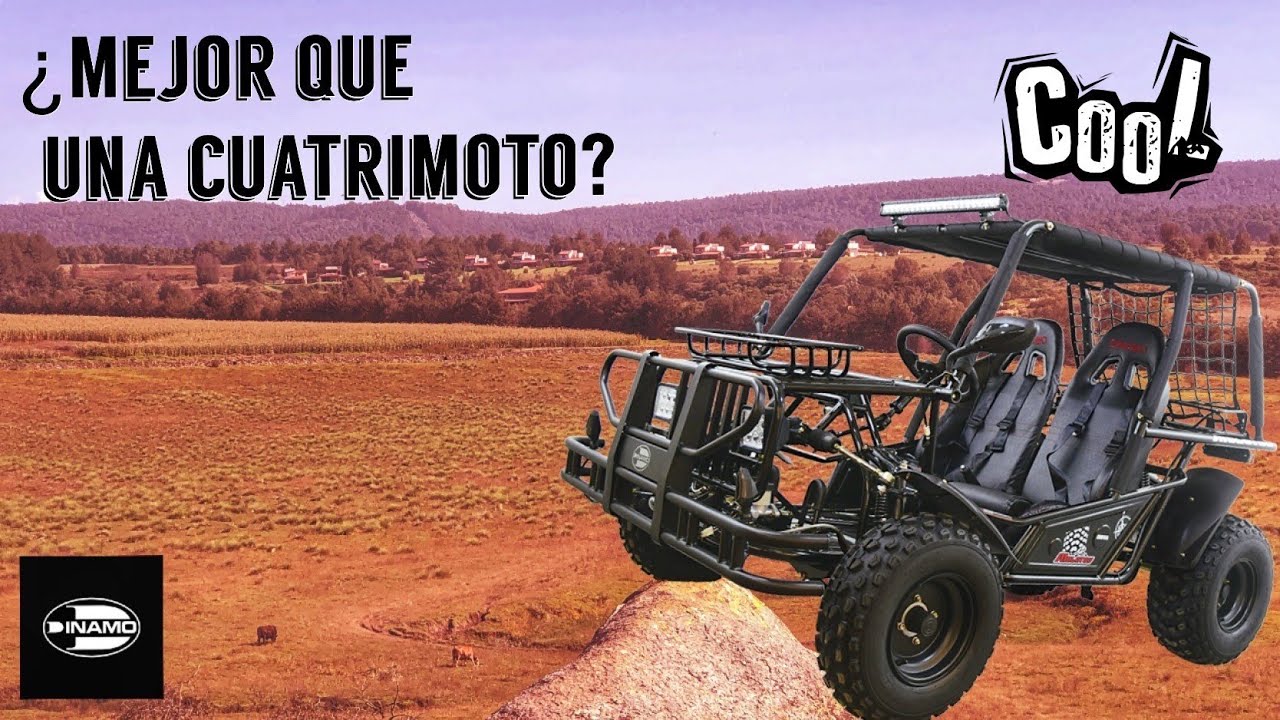 🤑 POR EL PRECIO DE UNA CUATRI 🔥 Un buggy de Aventura, MOLOTOV dinamo. 200 CC de diversión.