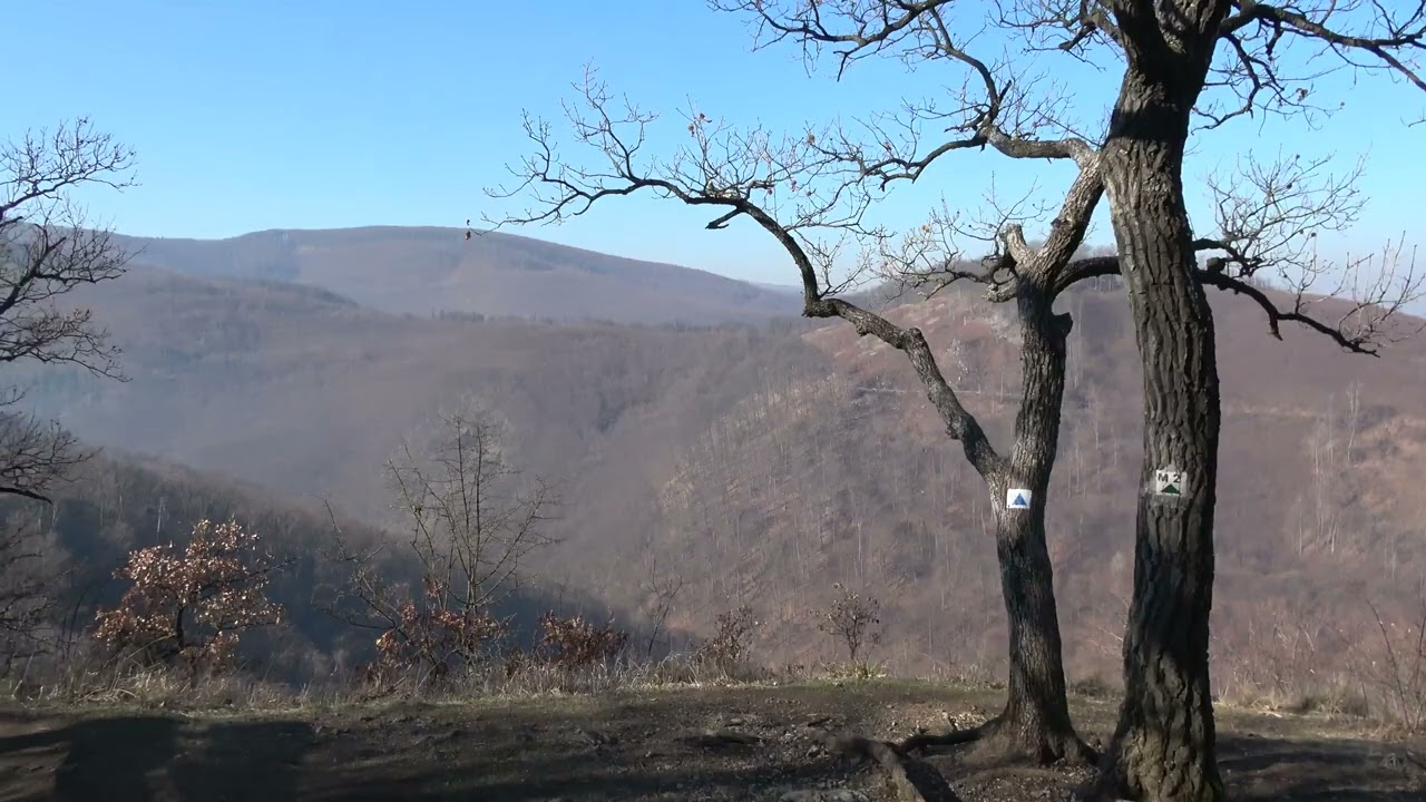 Országos Kéktúra 23  szakasz Bánkút Uppony 4k