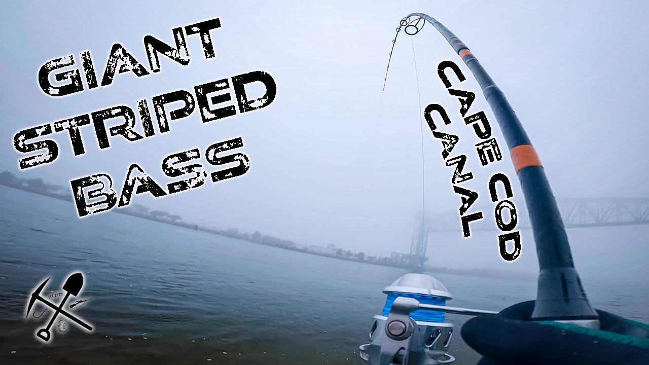 MASSIVE Fish Bends My Rod Like Never Before!
