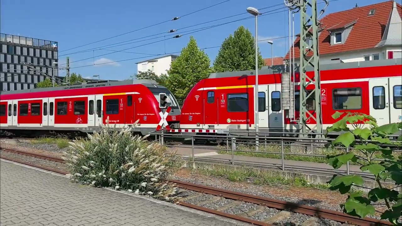 Züge in Wendlingen am Neckar (Kurzvideo) 