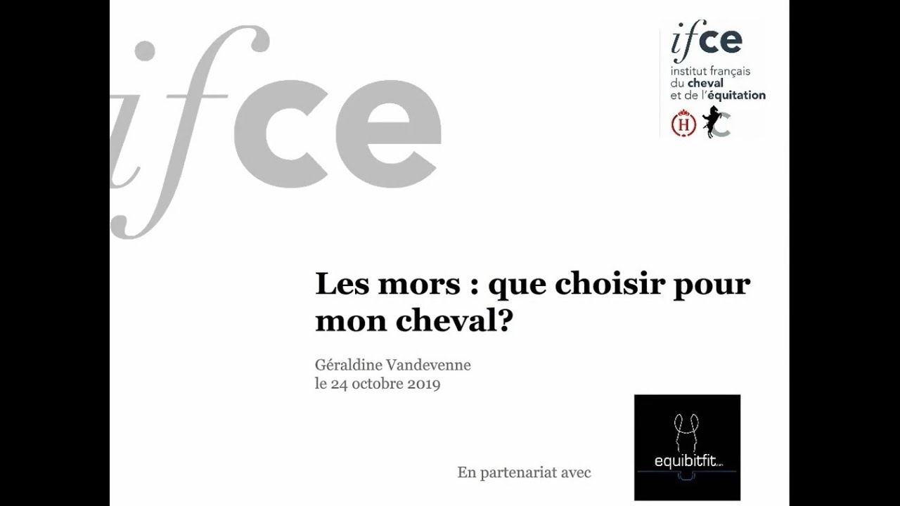 Bit fitting quel mors choisir - Géraldine Vandevenne