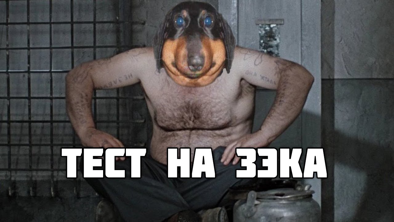 Давг проходит ТЕСТ НА ЗЕКА