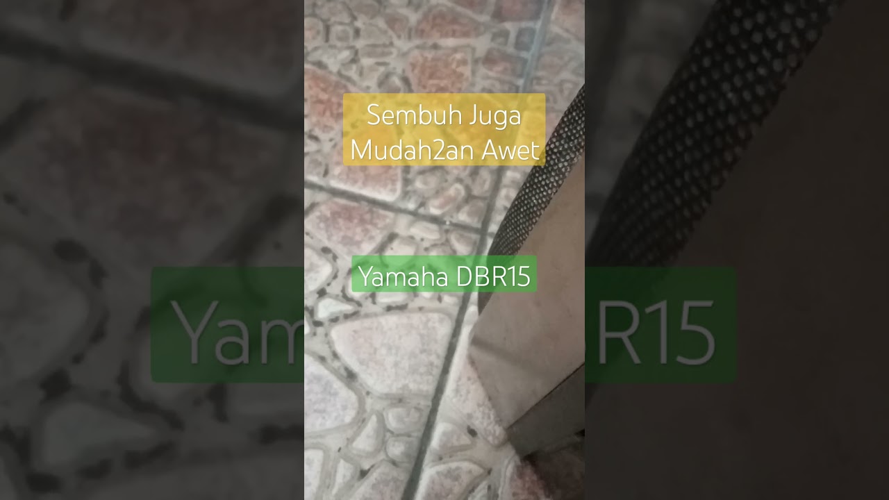 Yamaha DBR15 Matot plus Ic IRS 2092 K.O