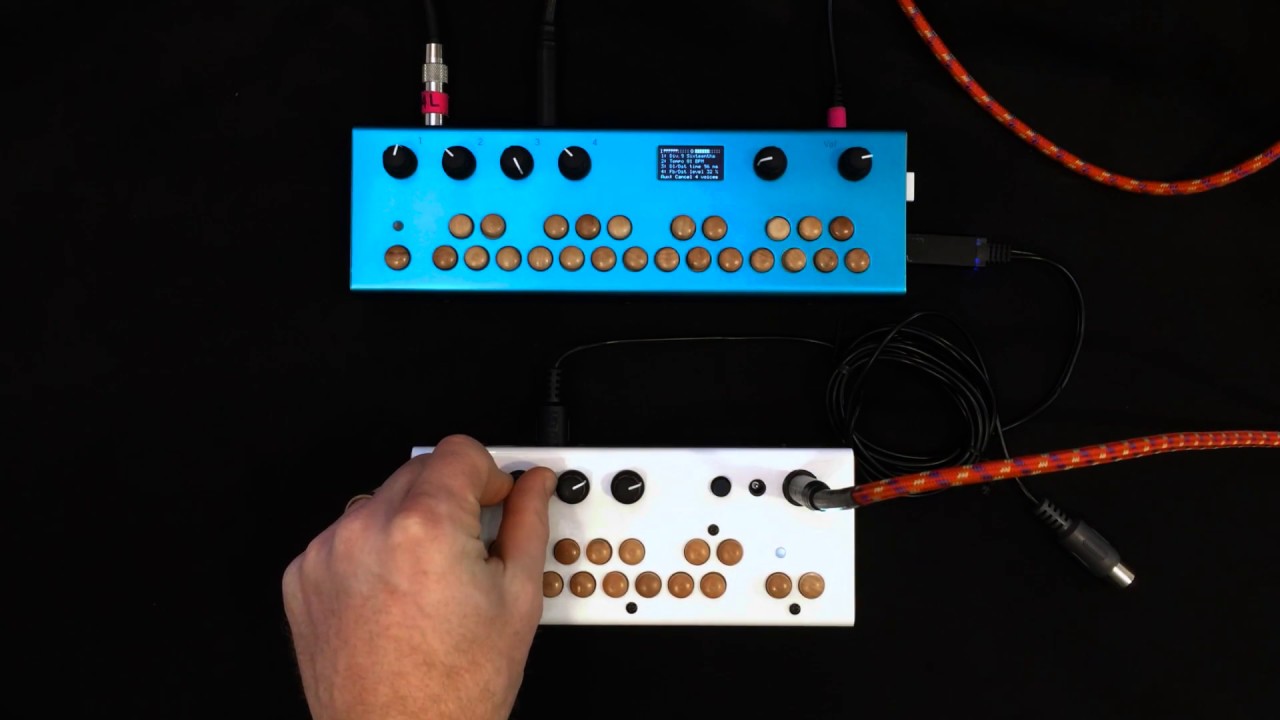 Critter & Guitari - 'Rhythm Delay & Distortion' Controls Bolsa Bass