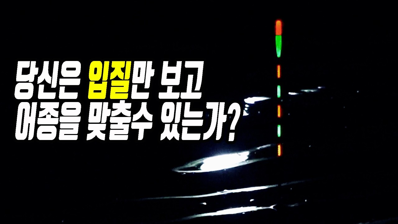 입질만 보고 어종 맞추기 이벤트(선물은 찌찌직결채비 6종) #어신만보고어종맞추기 #구독자이벤트 #찌찌티비이벤트