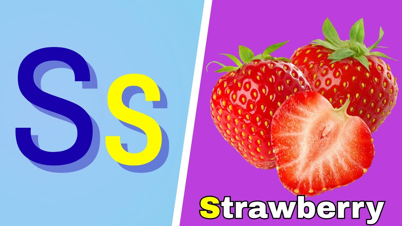 S Vocabulary for Kids | Letter S Words with Pictures | ABC Learning | Fun and Easy | #BEEQANKIDS