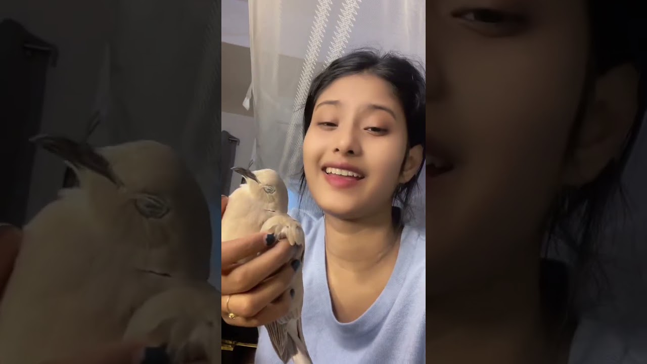 জানি একদিন যেতে হবে, কিন্তু এভাবে একে একে চলে যাওয়ার মানে কি?💔🥀😣