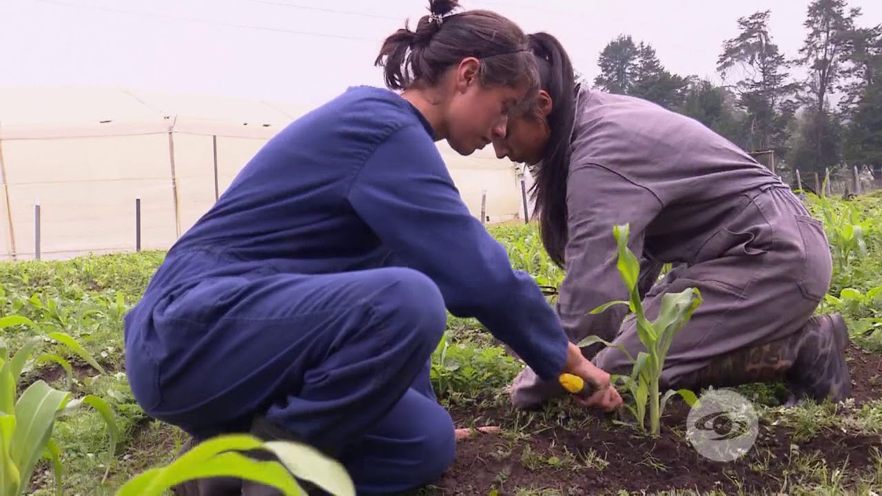 El papel de los j&oacute;venes en las tareas del campo | La Finca de Hoy