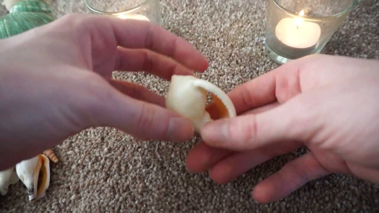 Natural beauty of shells Stereo ASMR Clinking Sounds - Thanks TheWaterwhispers Ilse! =)