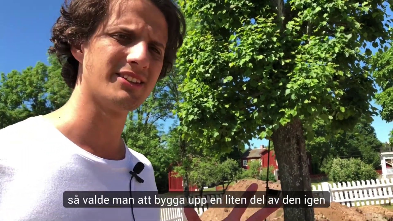 Edsleskog 2020, del 1