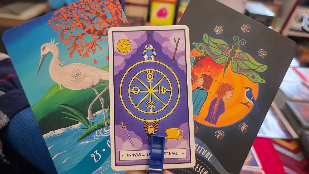 TRAICIONERO Y CRUEL  SE PORTO COMO KK ..HOY SUSPIRA POR VOLVER #amor #tarotgratis 