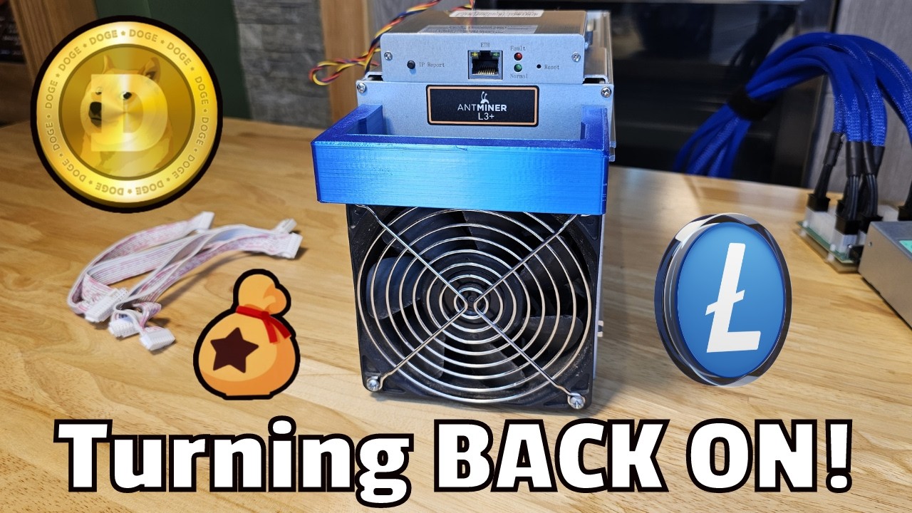 Antminer L3+ снова прибыльный!? Тройной слияние майнинга LTC, Dogecoin и Bellscoin