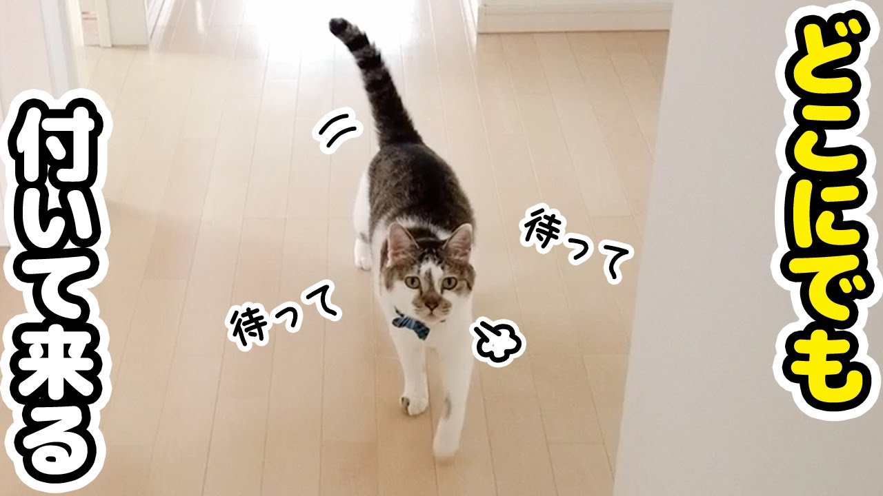 窓に脱走防止柵をDIY！かわいい現場監督のチェックが尊すぎた