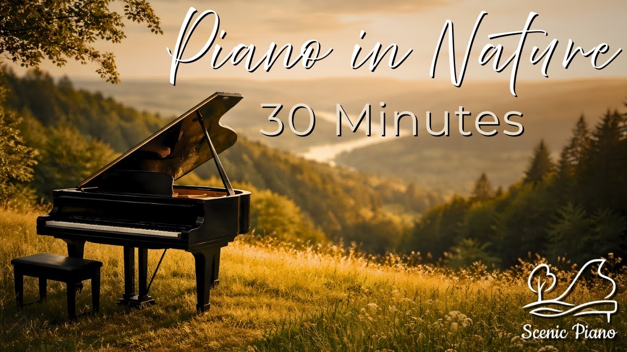 30 Minutes of Scenic Piano – Music in Nature for Focus & Relax 🌿🎹