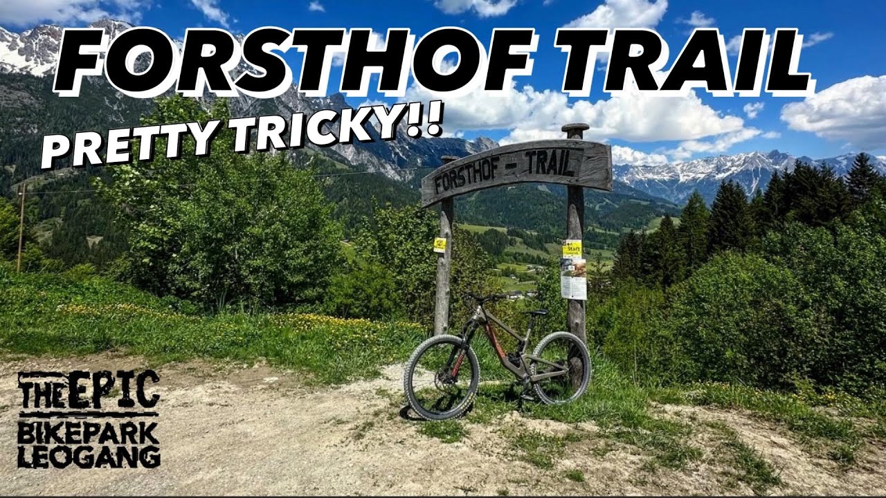 Ziemlich Tricky!! - Forsthof Trail - Bikepark Leogang 2024 | Sending Kenny