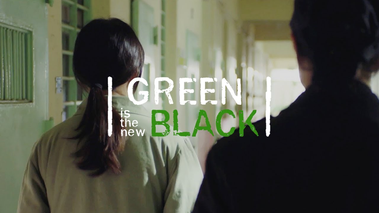 한국판 오뉴블이 나온다면? Green is the new Black 여자 감옥물 상플