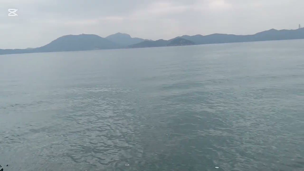 8198捕櫃VOLG之航運小分享🥰