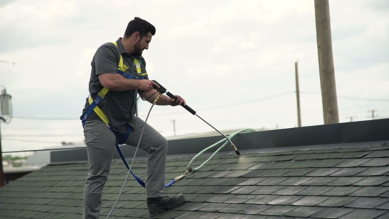 See The Bright Green Roof Team in Action